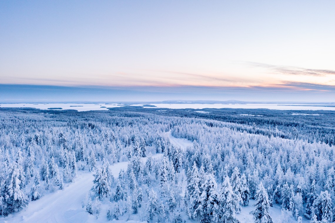 Snötäckt skogslandskap 